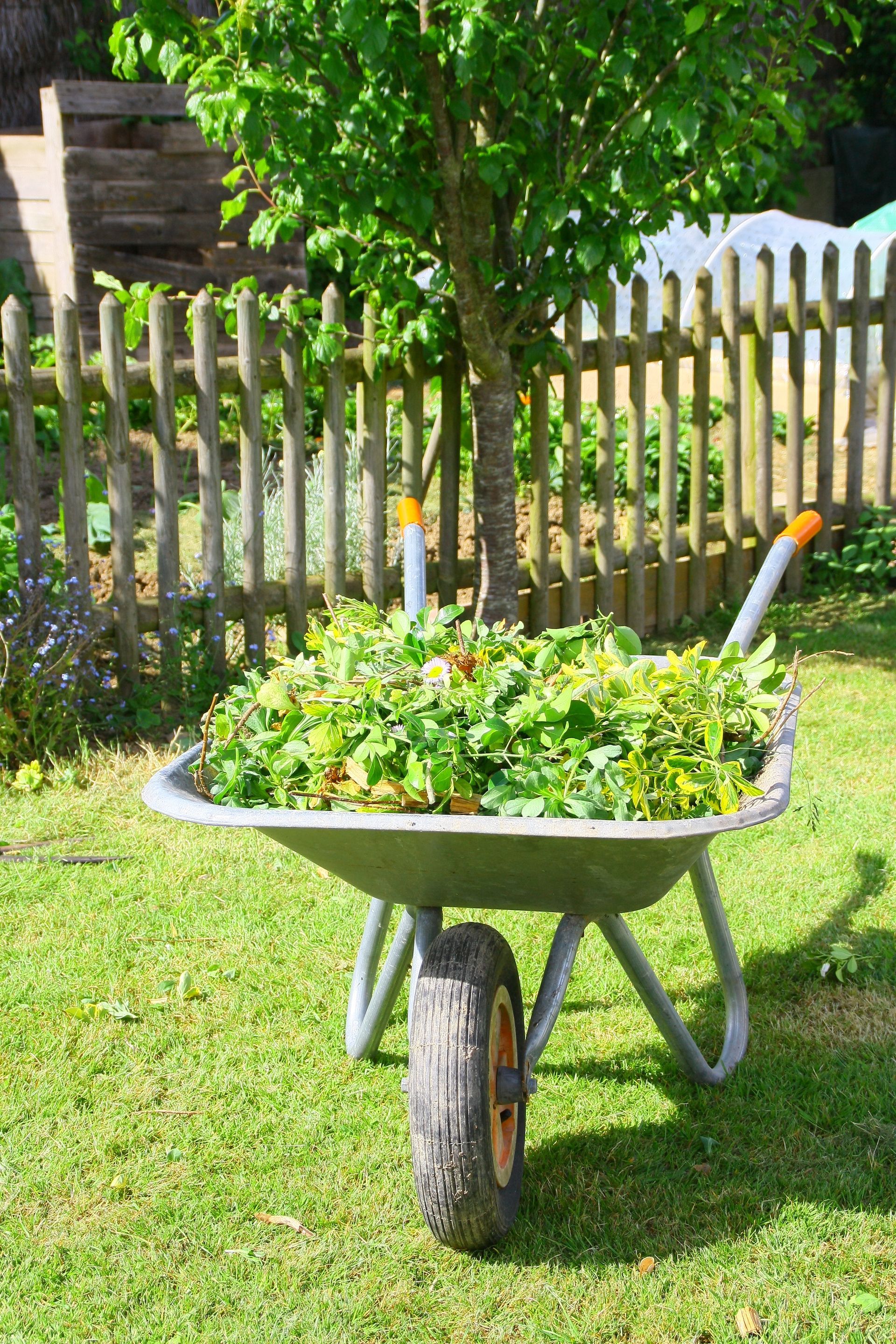 Brouette pleine de déchets verts