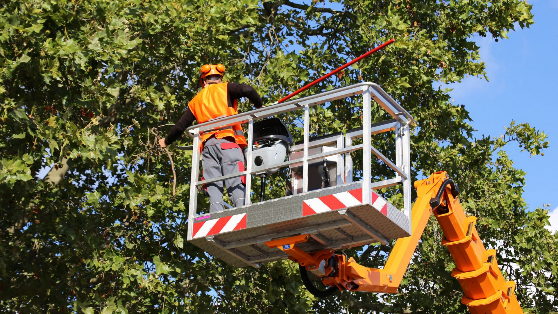 Élagage d'un arbre depuis une nacelle