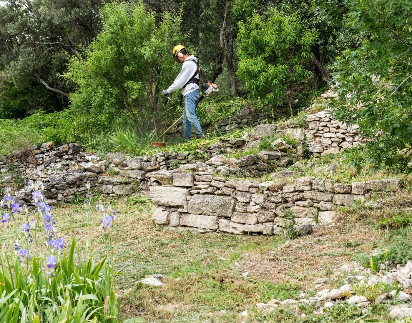 Débroussaillage de jardin