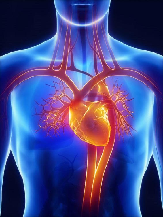 Troubles circulatoires