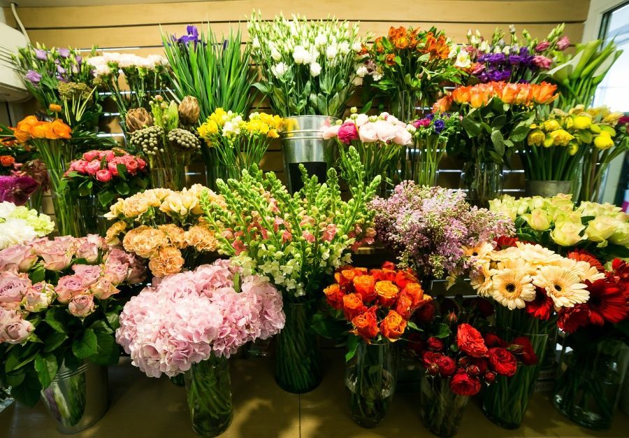 Blumen Angebot