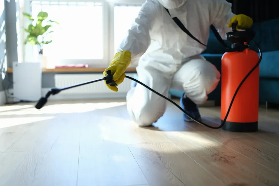 Persona con traje de protección rociando un piso de madera con un pesticida, dentro de una habitación con ventana.