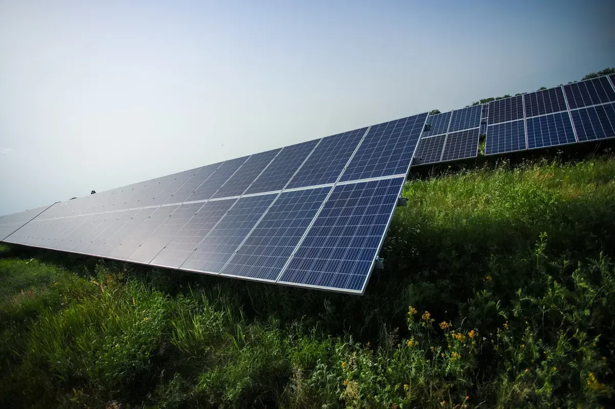 Paneles solares instalados en una ladera cubierta de hierba, recolectando energía del sol en un día claro.