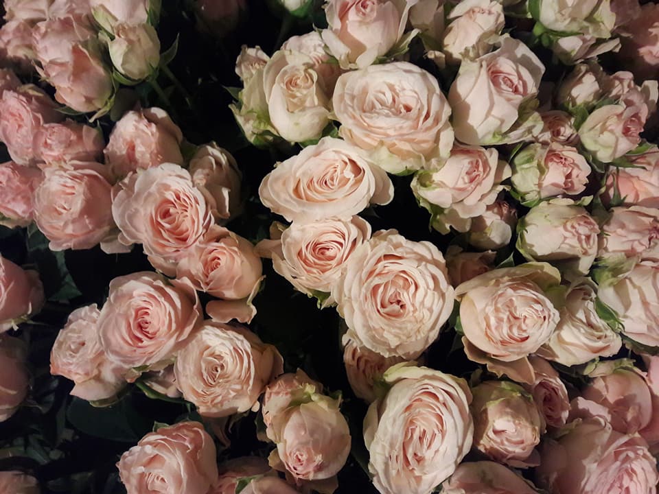 Jardiflor boutique de fleurs à SainteHermine en Vendée (85)