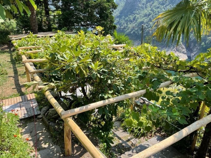 copertura per gazebo