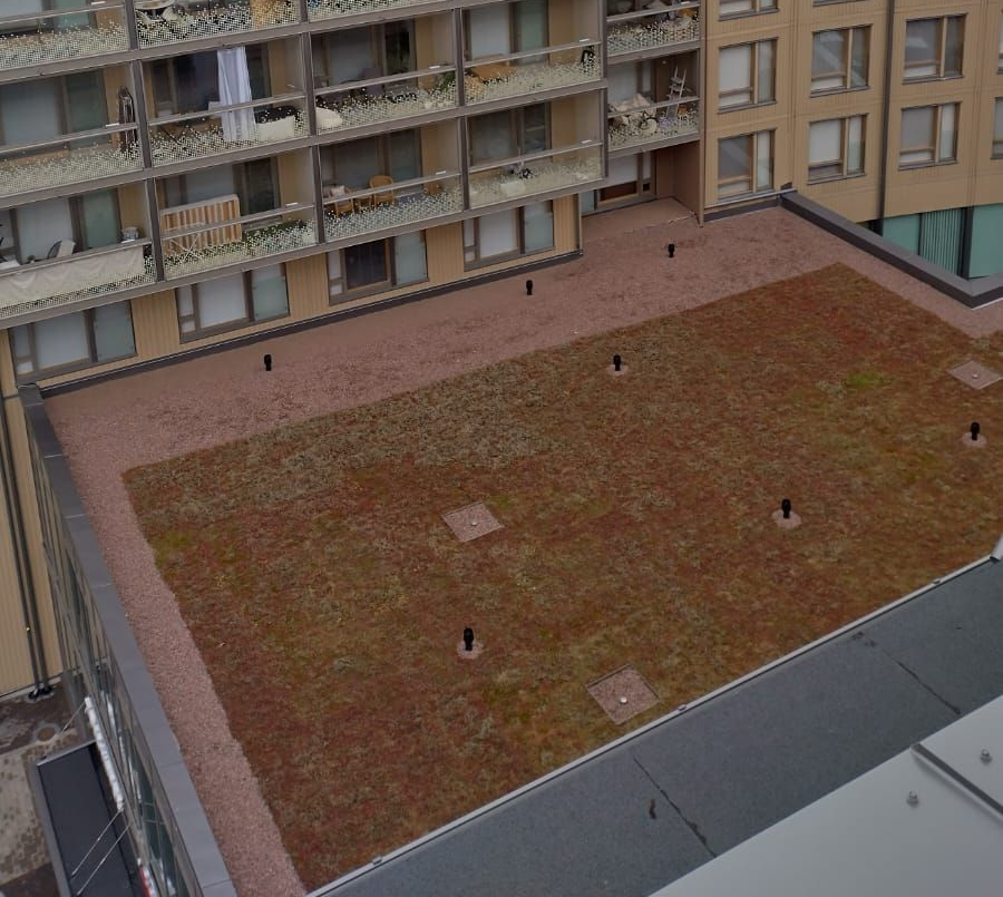 Myrskytuhojen raivaukset