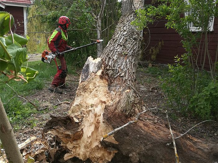 Myrskytuhojen raivaukset