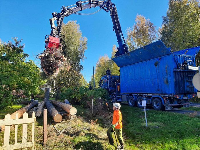 Risujen ja runkojen poiskuljetus