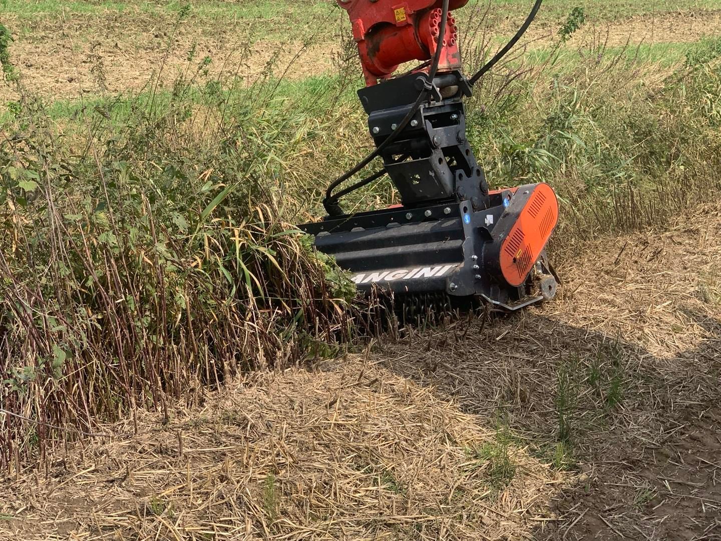 Eine Maschine mäht Gras auf einem Feld.