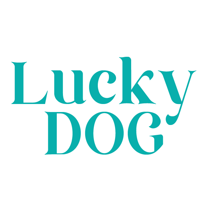 logotipo Lucky Dog