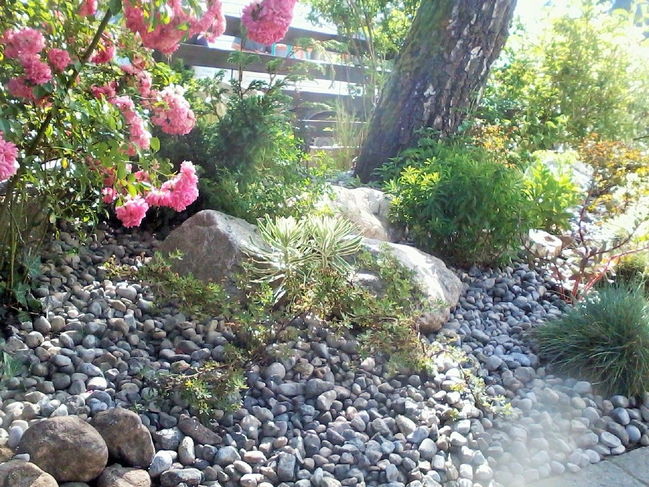 Gepflegter Garten, Foto von Martin Deuflhart