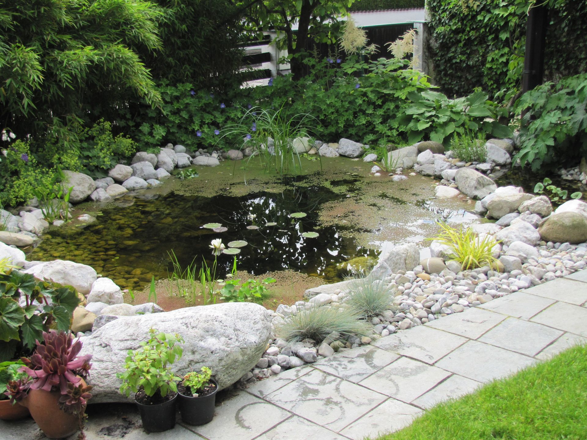 Teich in einem Garten, Foto von Martin Deuflhart