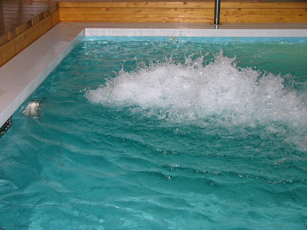 Gegenstromanlage Fluvo (2)