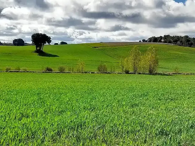 Montañas verdes y boscosas bajo un cielo azul despejado, con una meseta rocosa a lo lejos.