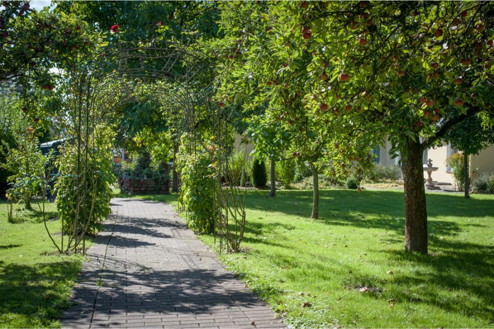 Seniorenresidenz Am Obernberg GmbH & Co. KG Garten