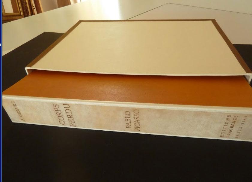 Après - Portfolio aimé Césaire/Picasso