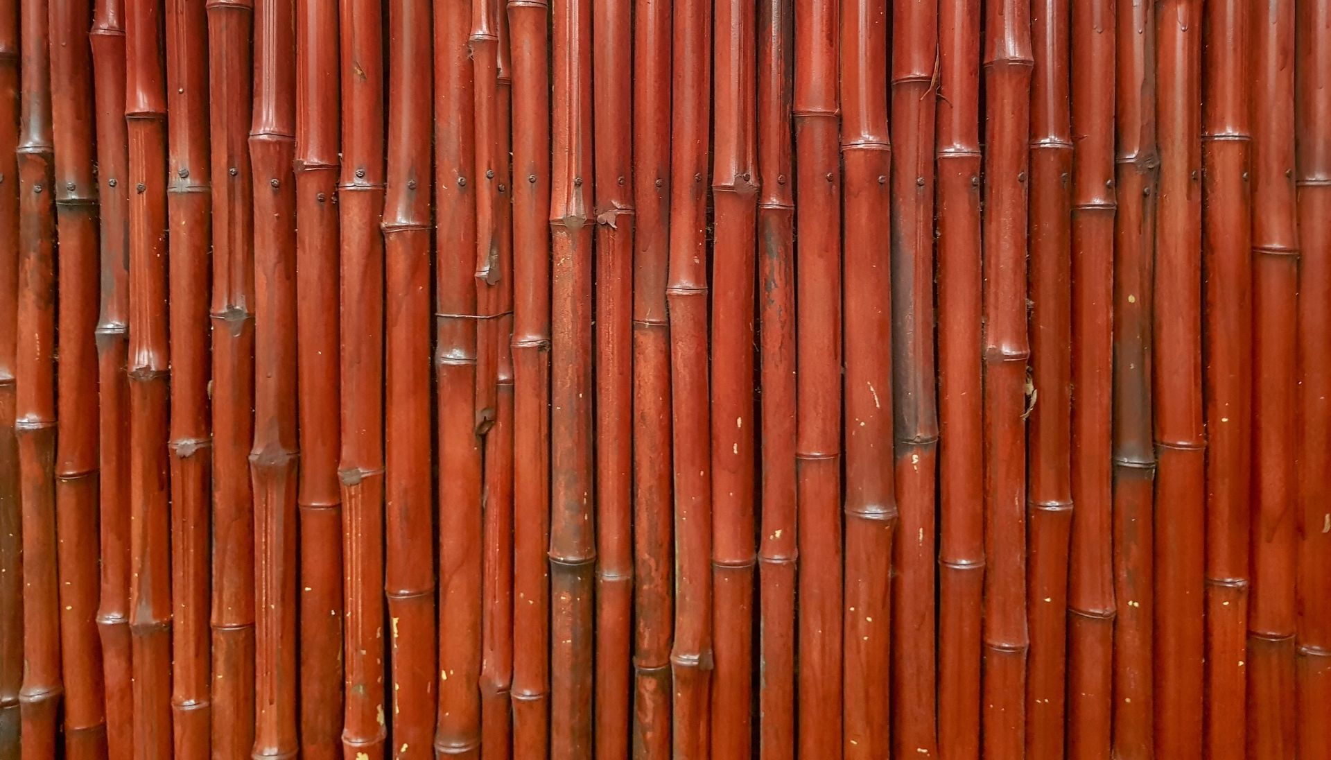 Tiges de bambou rouge-brun disposées verticalement, formant un mur ou un écran texturé.