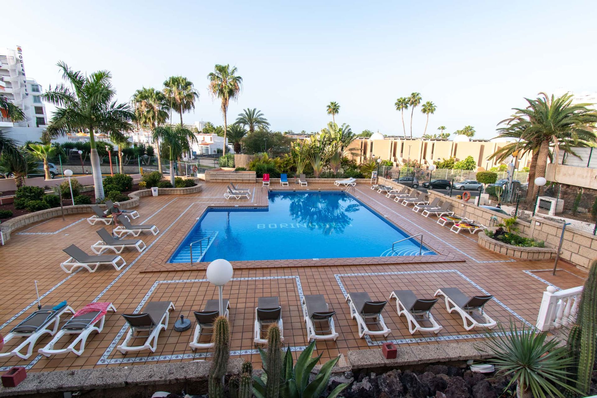 Borinquen's large swimming pool surrounded by chairs and palm trees.
