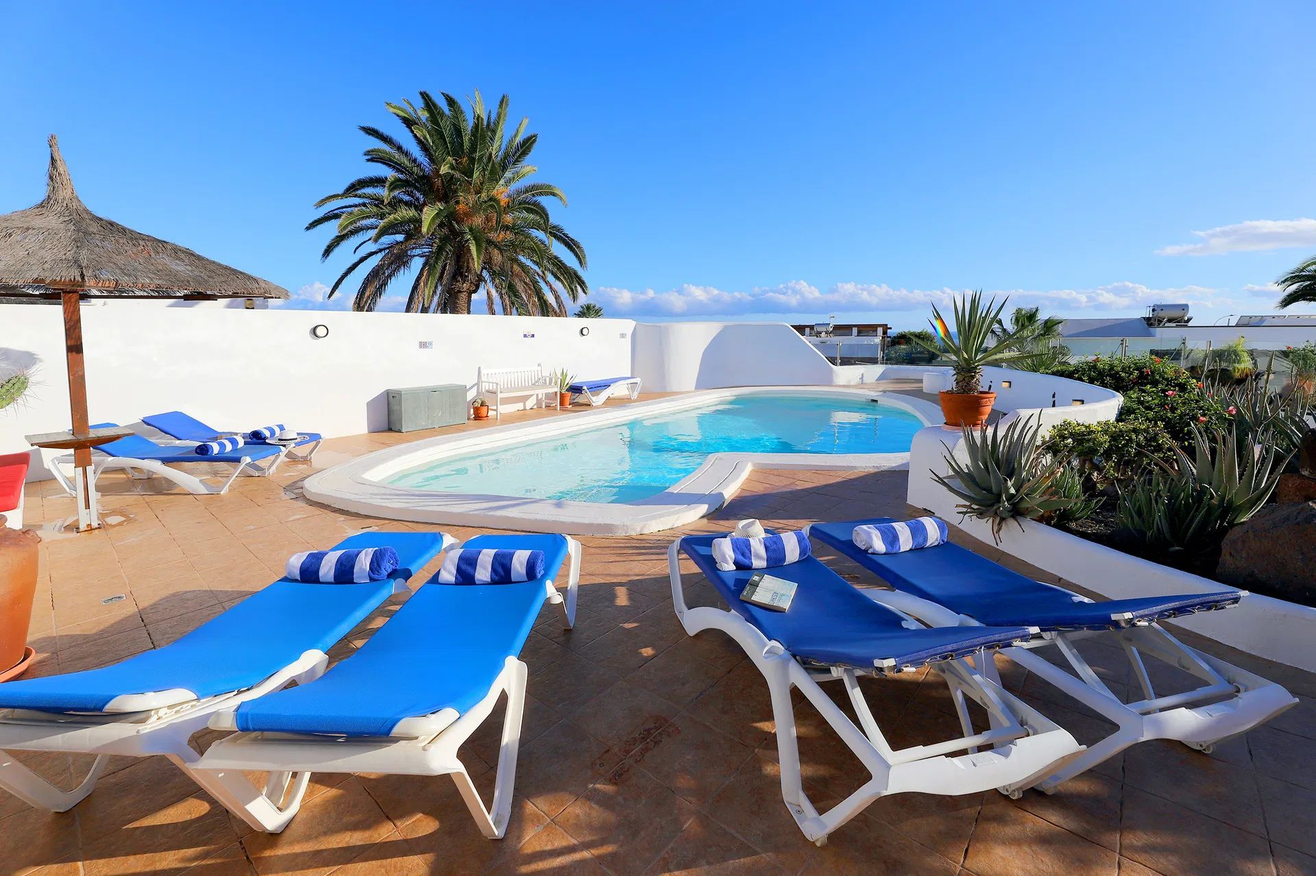 Pool with lounge chairs, palm tree, and blue sky. Villa Salvo | Los Mojones | Puerto del Carmen | Lanzarote.