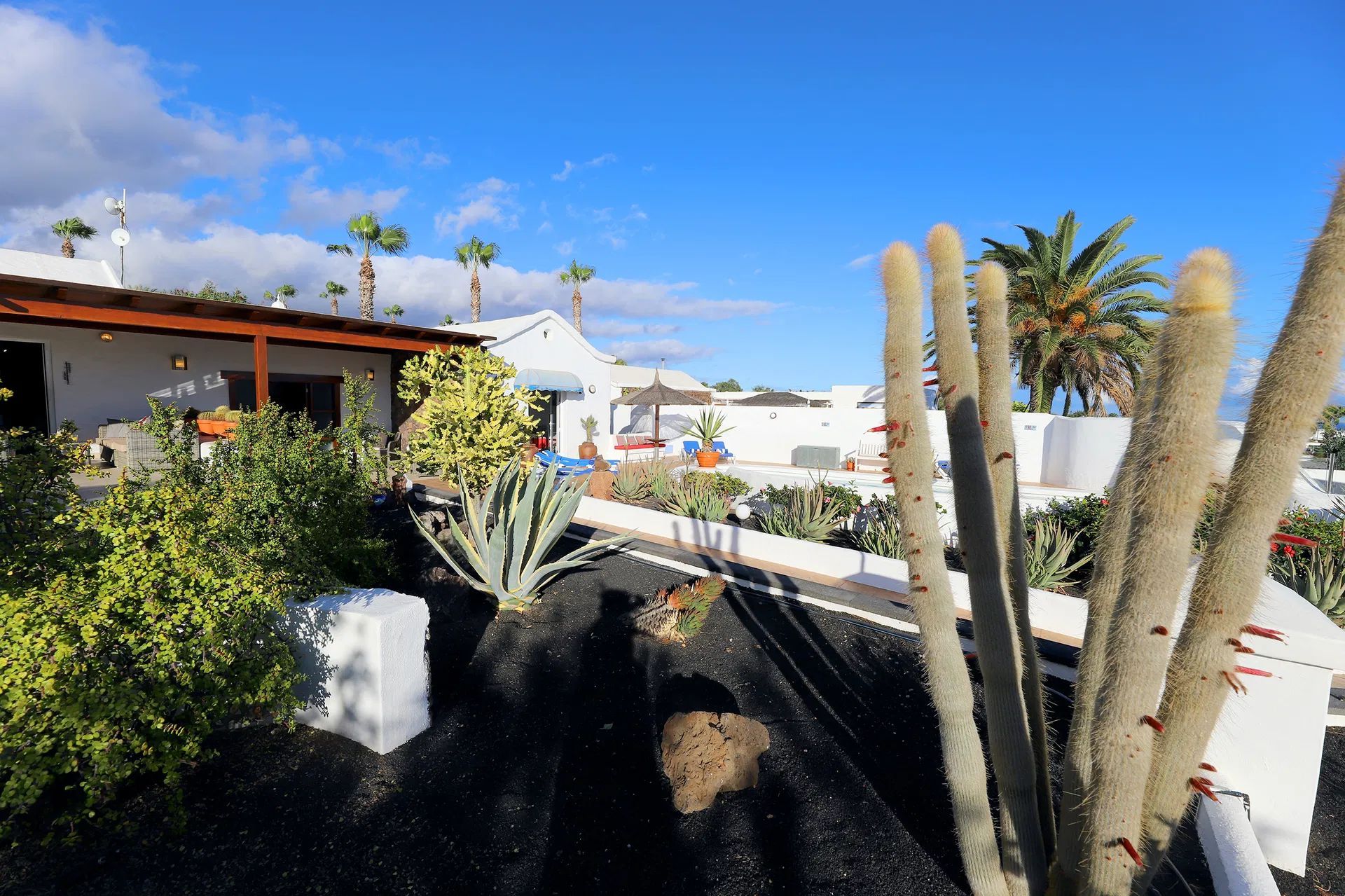 Lush garden with cacti and other plants, white buildings, and palm trees under a bright blue sky. Villa Salvo | Los Mojones | Puerto del Carmen | Lanzarote.