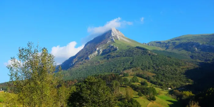 Zeru urdinaren aurrean, hodeiek partzialki estalitako mendi-tontor bat, aurreko aldean hosto berdeak dituela.