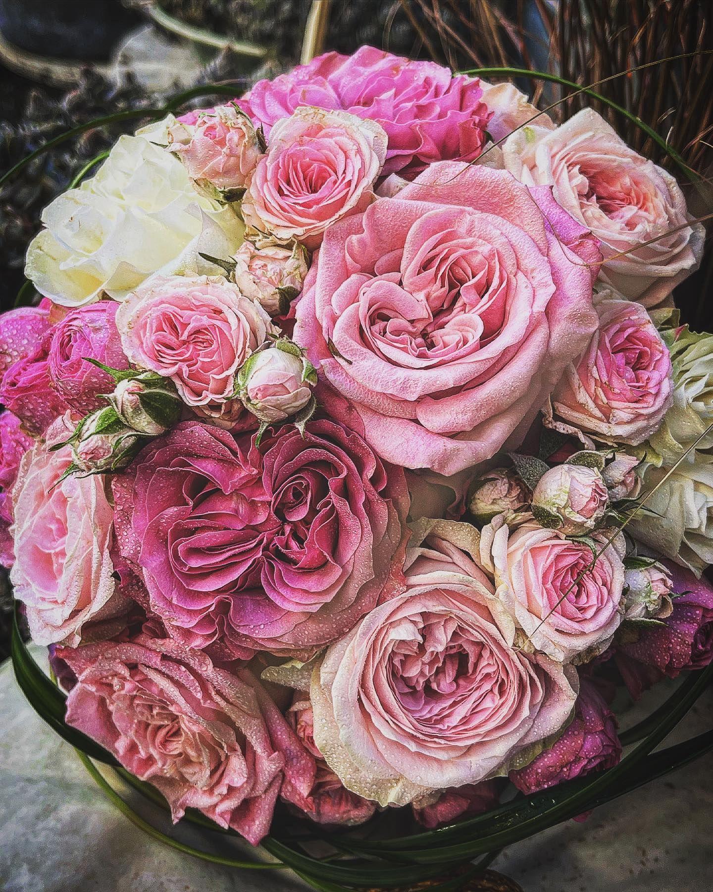 Blumenscheune Tietze