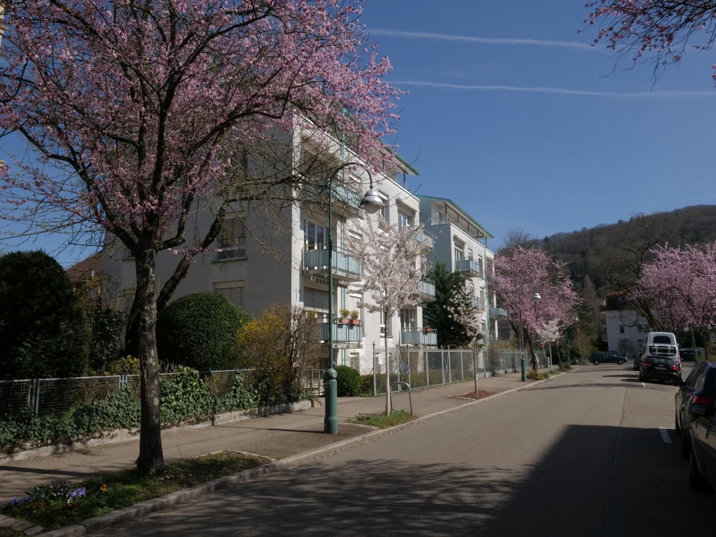 Praxis Hausarzt Allgemeinmedizin Dr Weber Herdern Freiburg