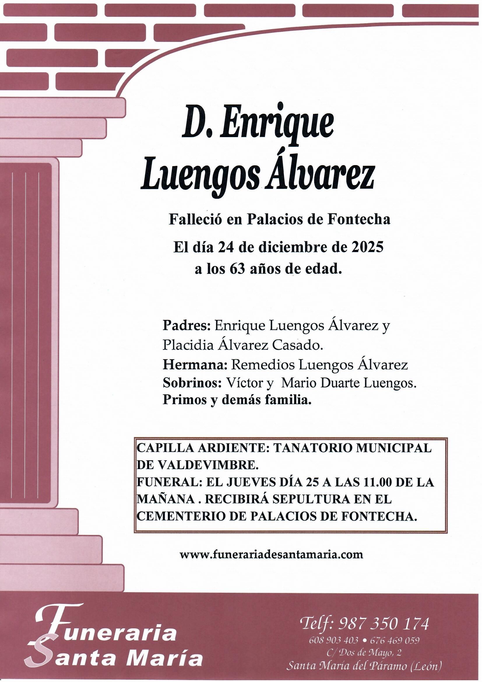 ENRIQUE LUENGOS ALVAREZ