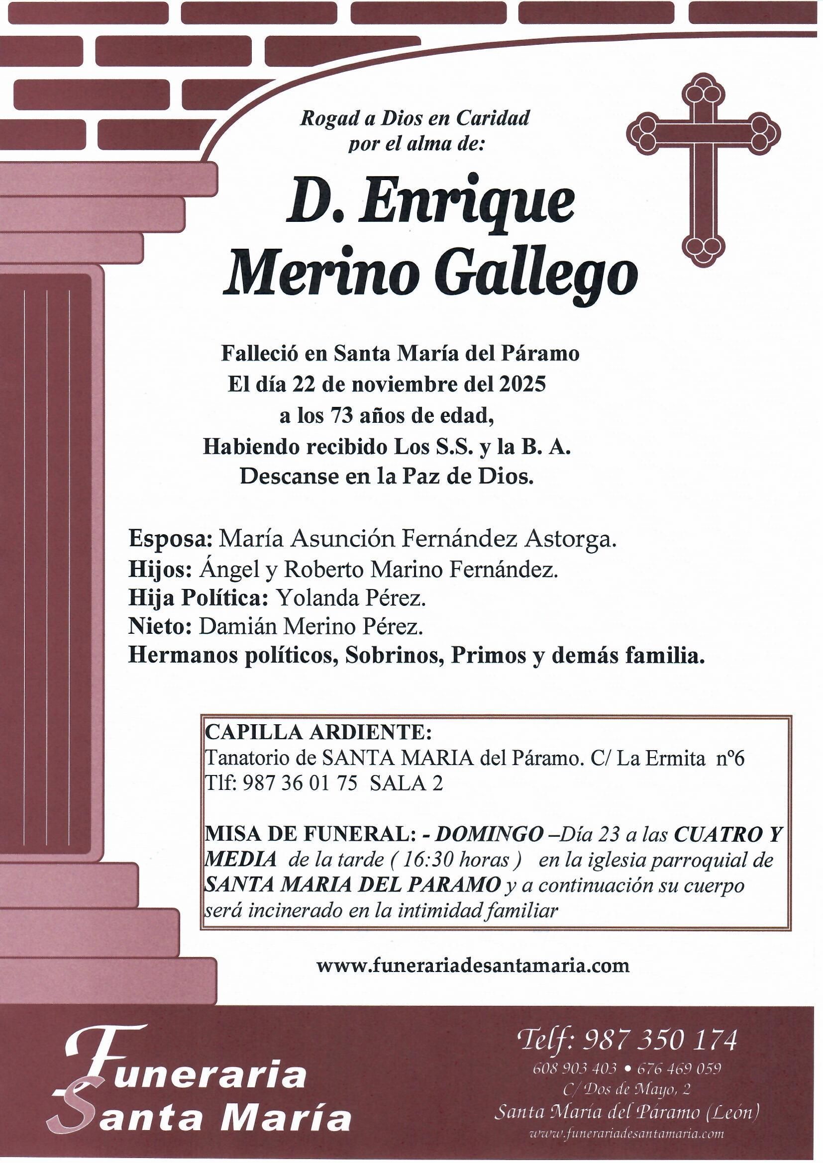 ENRIQUE MERINO GALLEGO