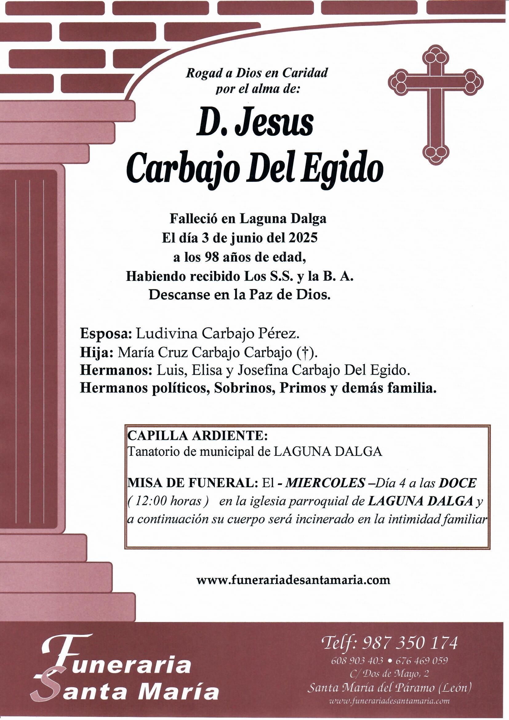 JESUS CARBAJO DEL EGIDO