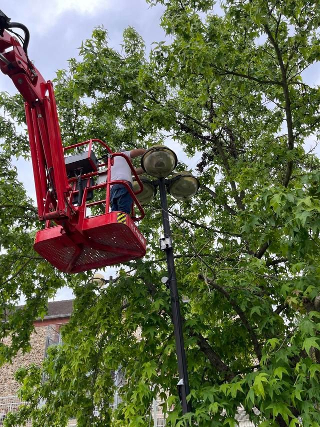 maintenance par élévateur