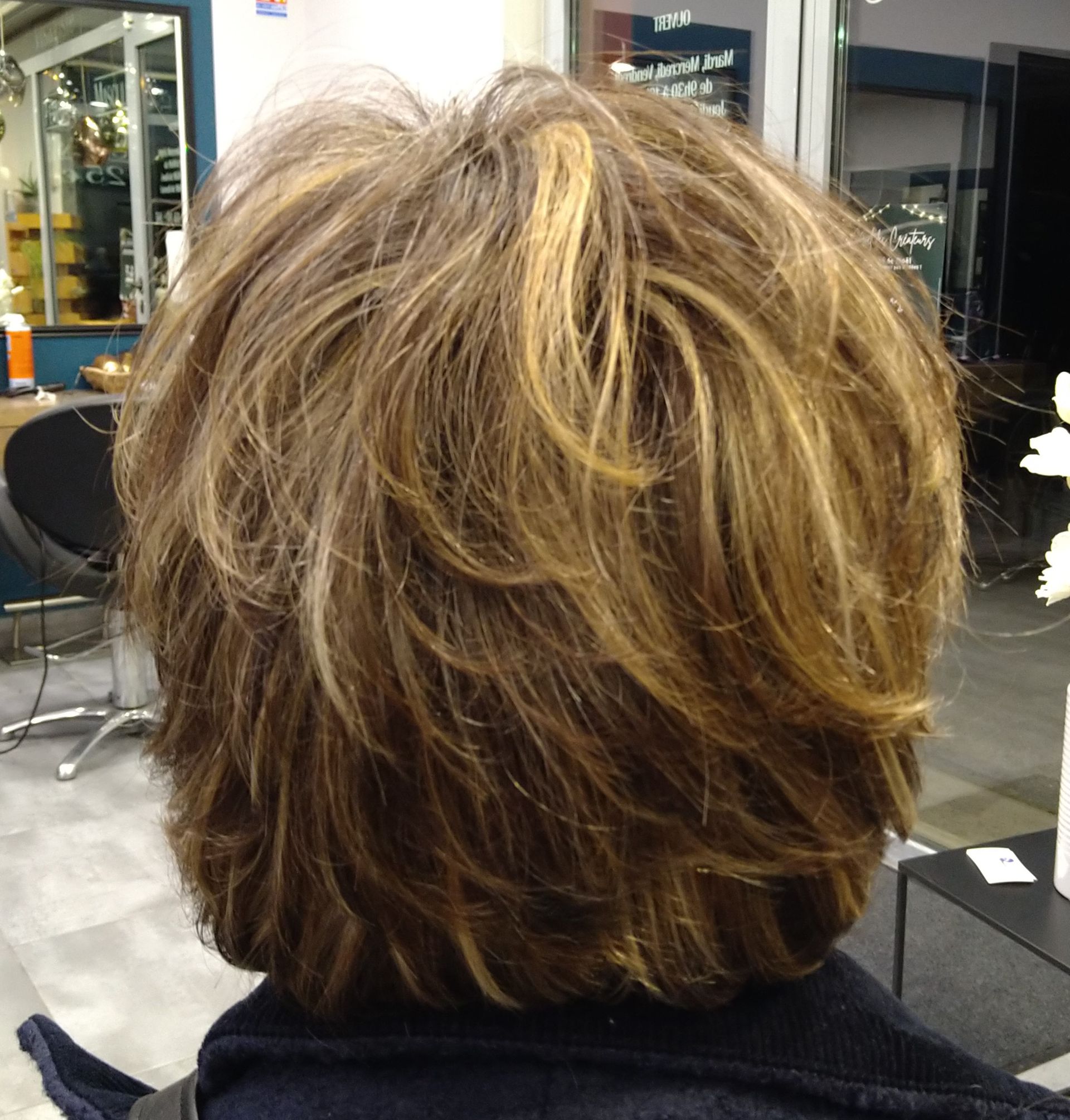 Cheveux châtains courts