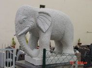 Steinskulptur Elefant Steinmetzbetrieb Josef Simon