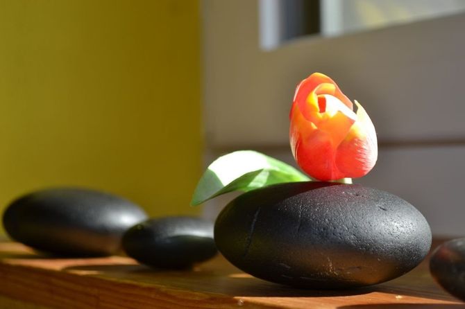 Steine mit Blume - Kosmetiksalon Gaby