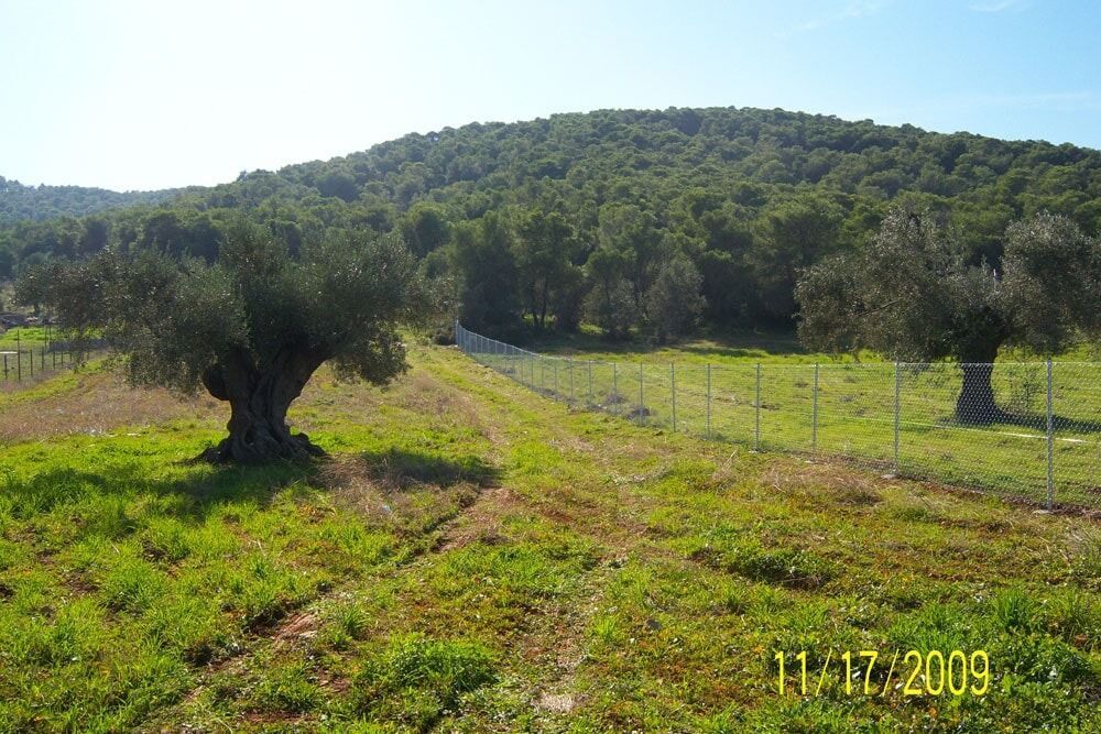 Περιφράξεις Αγροτεμαχίων - Βικελής Βασίλειος
