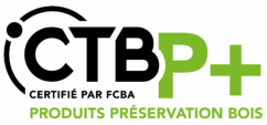 Logo CTB P+