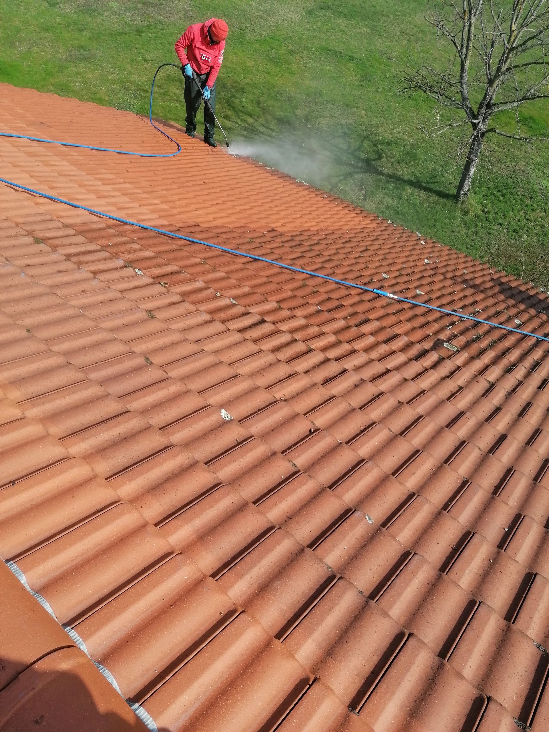Une personne vêtue de rouge asperge d'eau un toit de tuiles en terre cuite, avec de l'herbe verte en arrière-plan.