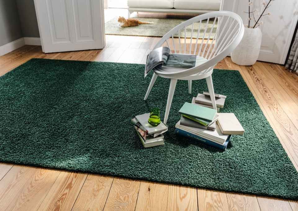 Sonnenschutz/Sichtschutz 21