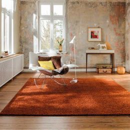 Sonnenschutz/Sichtschutz 21