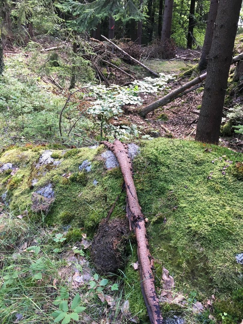 Logo Riedrich Greenery and Landscaping