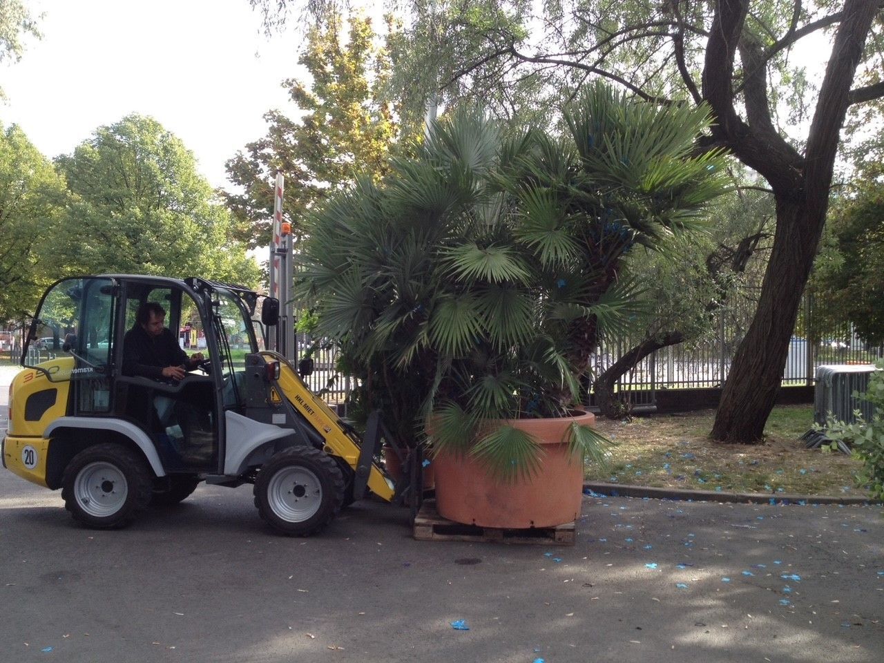 Riedrich Greenery and Landscaping