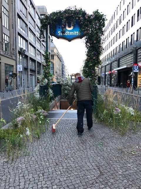 Riedrich Greenery and Landscaping