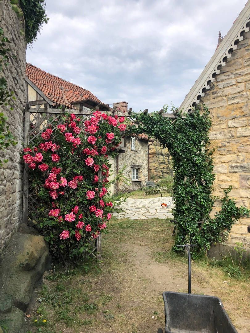 Riedrich Greenery and Landscaping