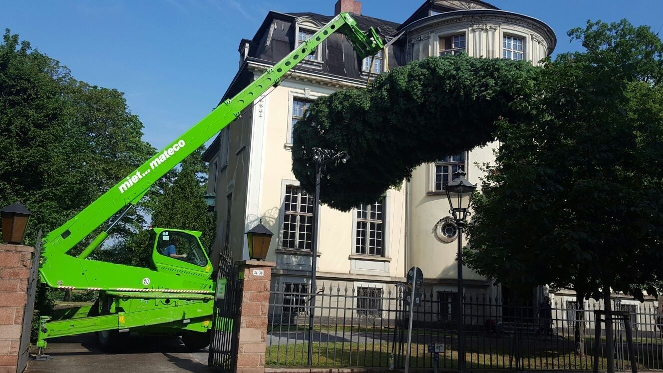 Riedrich Greenery and Landscaping