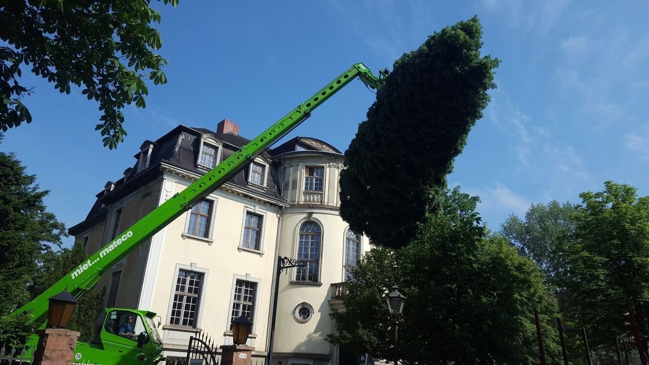 Riedrich Greenery and Landscaping