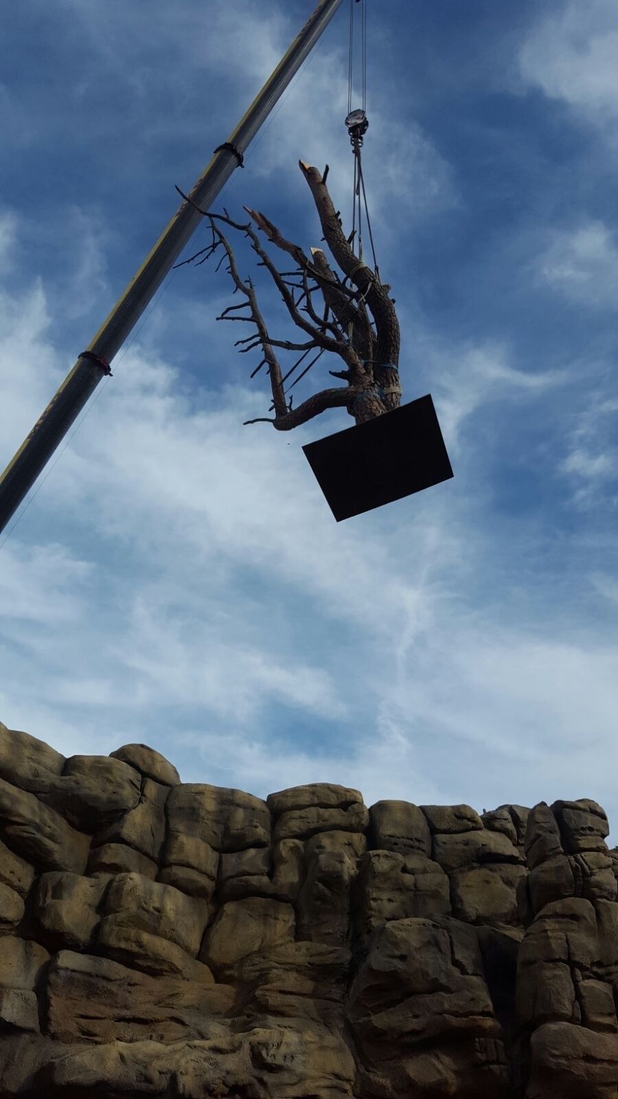 Riedrich Greenery and Landscaping