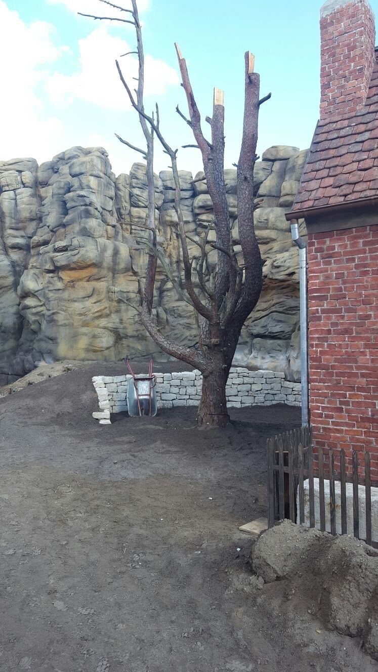 Riedrich Greenery and Landscaping