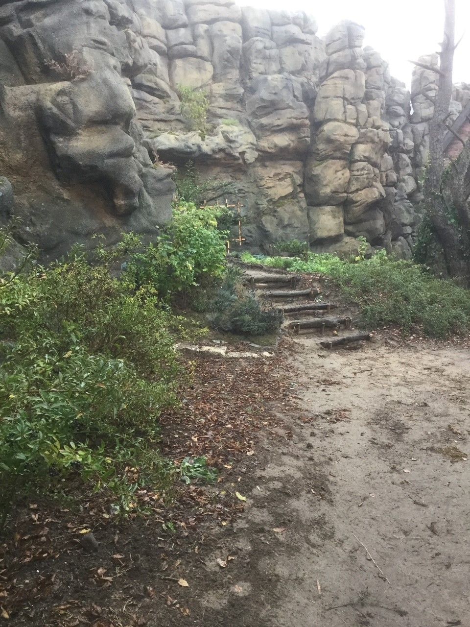 Riedrich Greenery and Landscaping