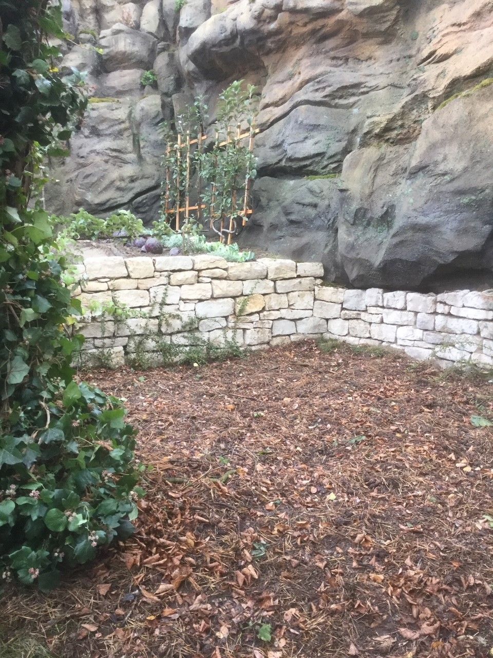 Riedrich Greenery and Landscaping