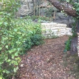 Riedrich Greenery and Landscaping